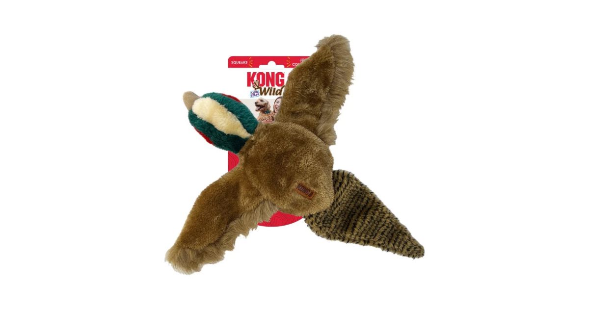Kong - Wild Low Stuff Pheasant (Medium)