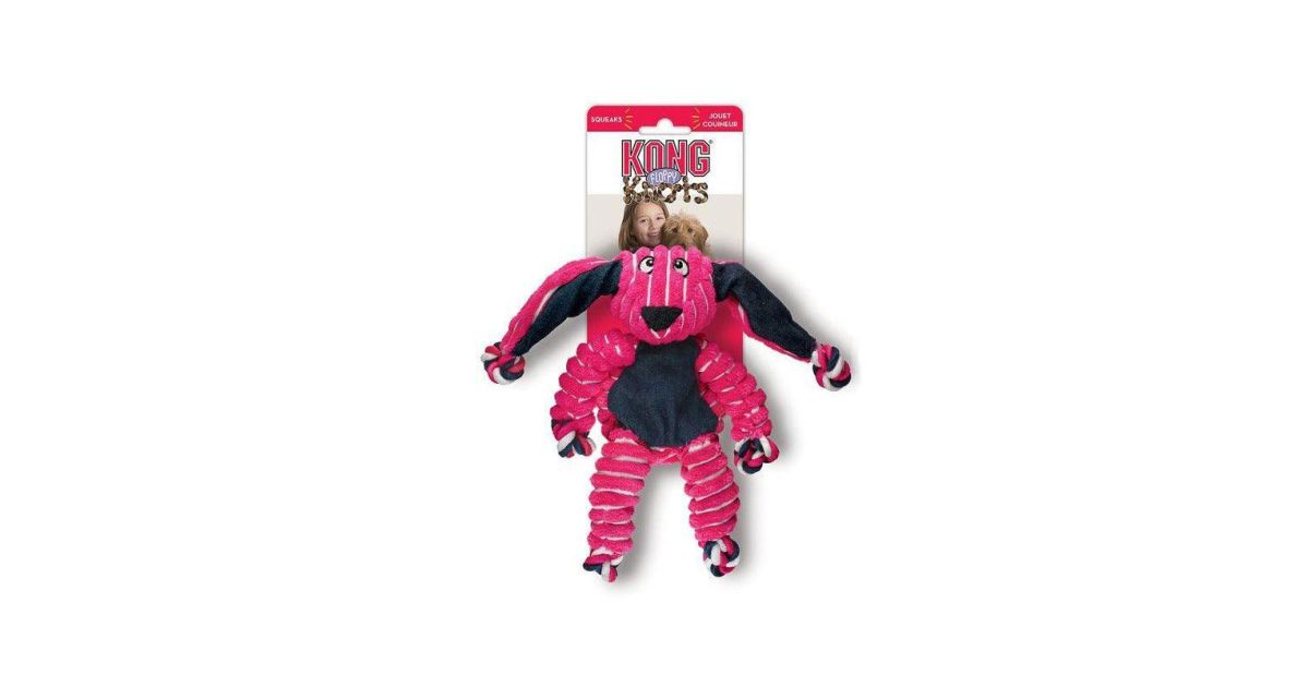 Kong - Floppy Knots Bunny