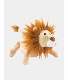 Safari Collection - Lion