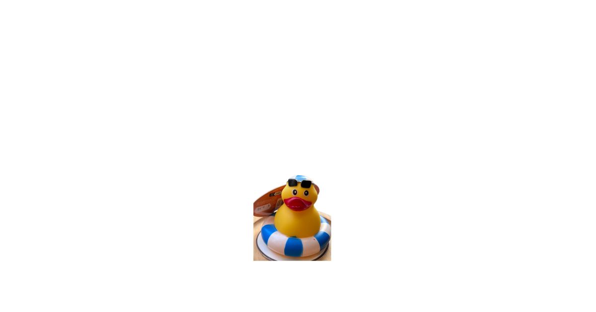 Canard en vinyl star