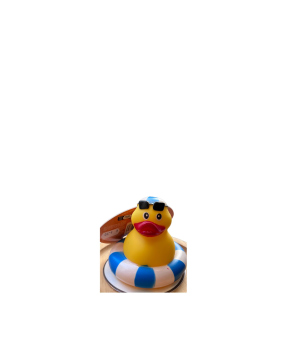 Canard en vinyl star