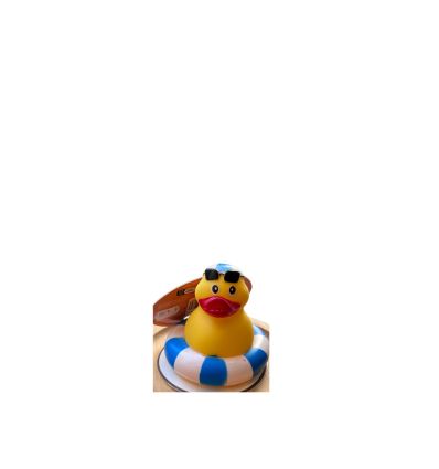 Canard en vinyl star