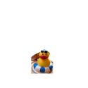 Canard en vinyl star