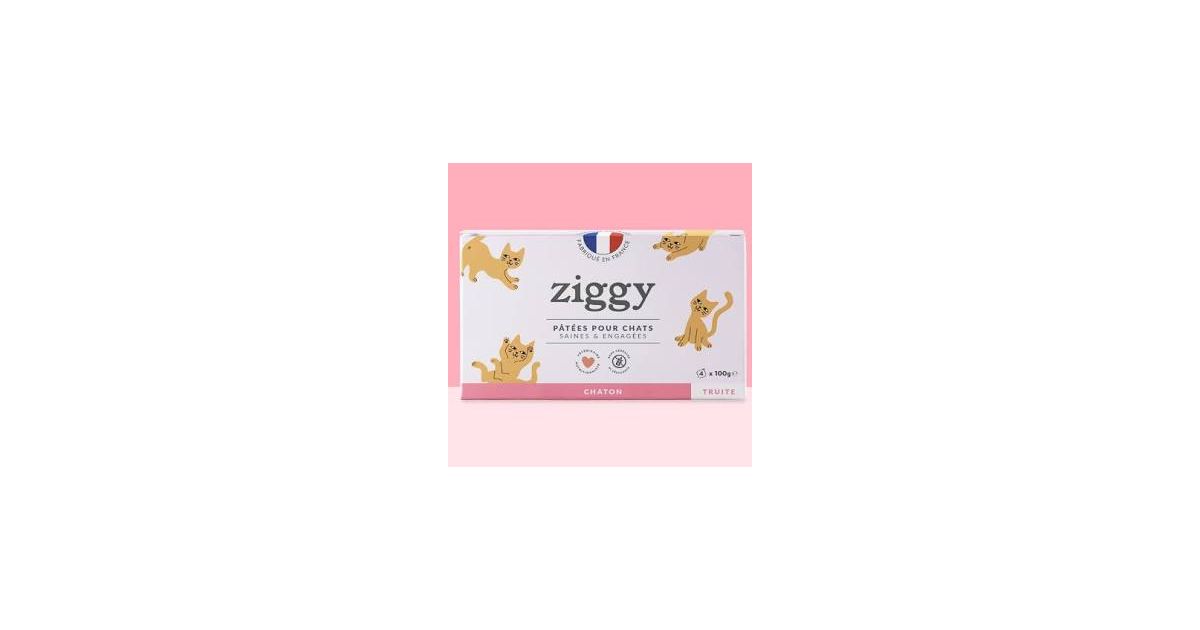 Pâtée Complète Chaton - Truite 4x100g