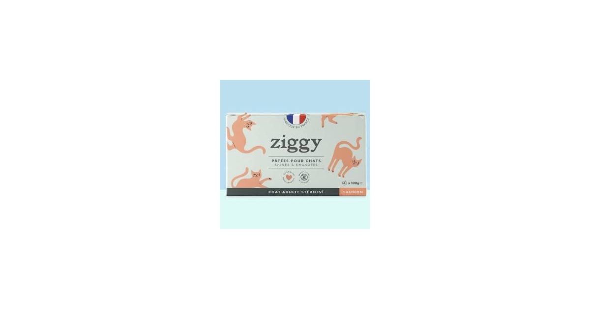Pâtée Complète Chat Adulte Stérilisé - Saumon 4x100g