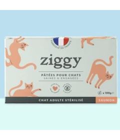 Pâtée Complète Chat Adulte Stérilisé - Saumon 4x100g