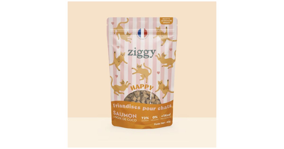 Friandises HAPPY Saumon & Coco 40g