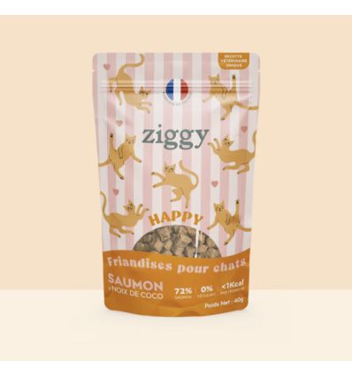 Friandises HAPPY Saumon & Coco 40g
