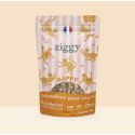 Friandises HAPPY Saumon & Coco 40g
