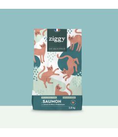 Croquettes Chat Adulte Stérilisé - Saumon