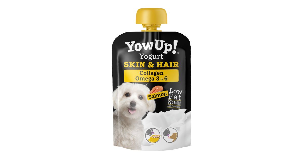 Yow Up - Yahourt pour chiens 0% - Skin & Hair 