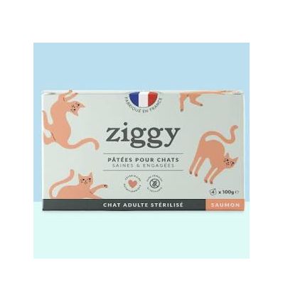 Pâtée Complète Chat Adulte Stérilisé - Saumon 4x100g