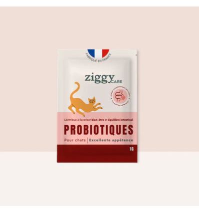 Ziggy - Probiotiques