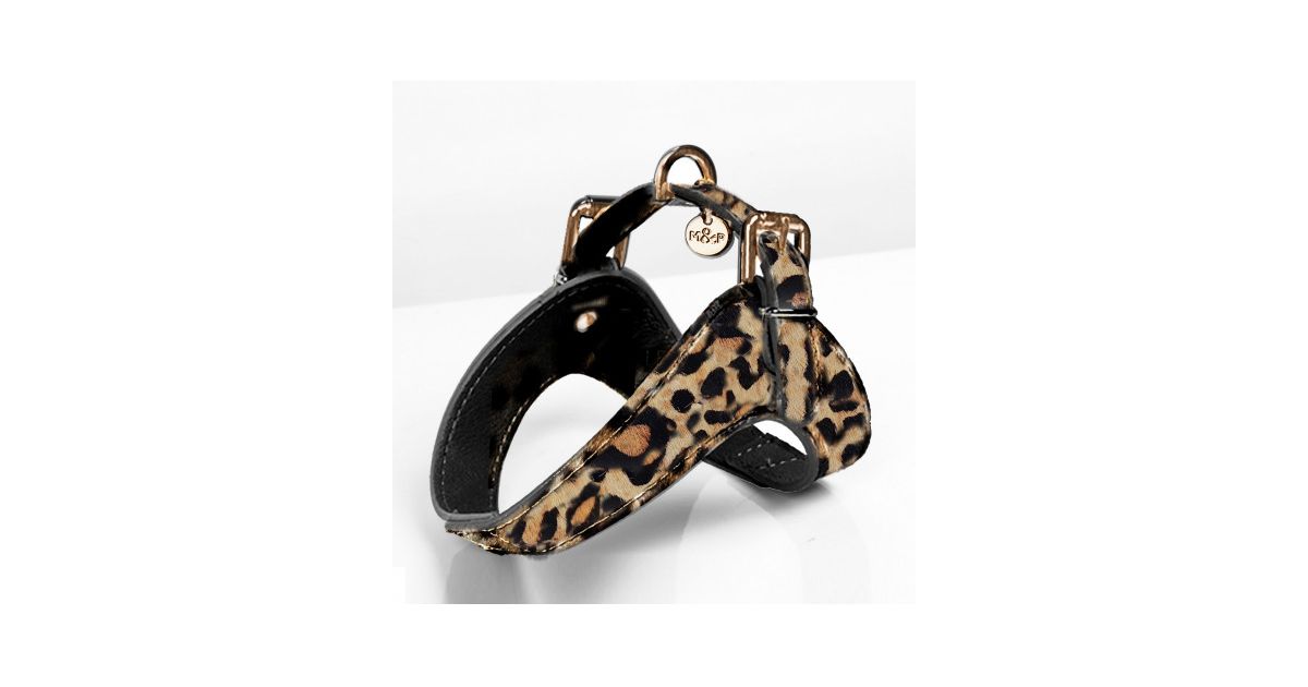 Leopard harnais