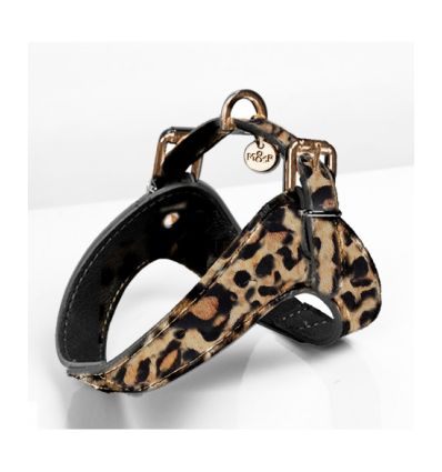 Leopard harnais