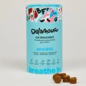 Les bouchées anxiété