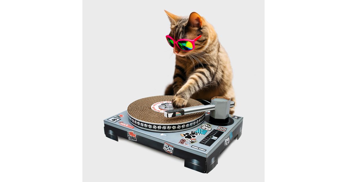 DJ cat scratcher