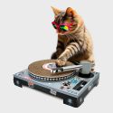 DJ cat scratcher
