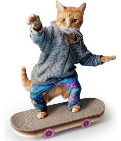 Skateboard Cat scratcher