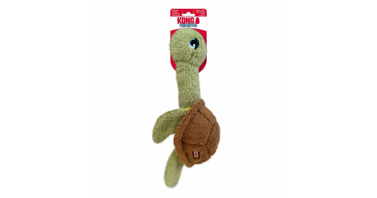 Kong - Scruff Turtle