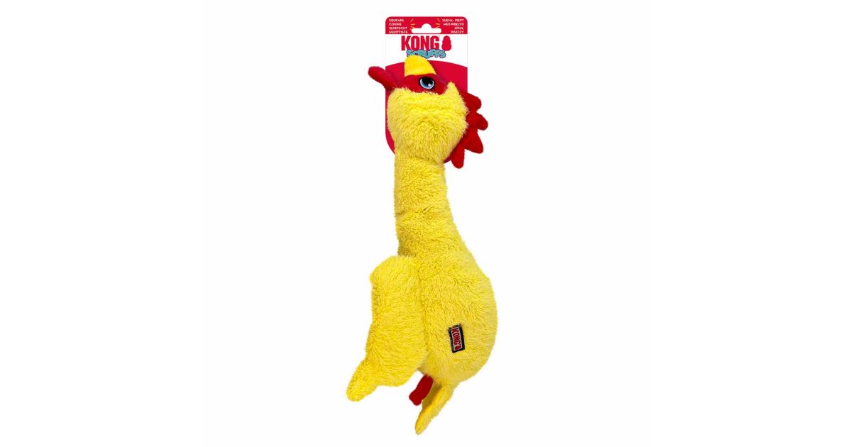 Kong - Scruffs Chicken