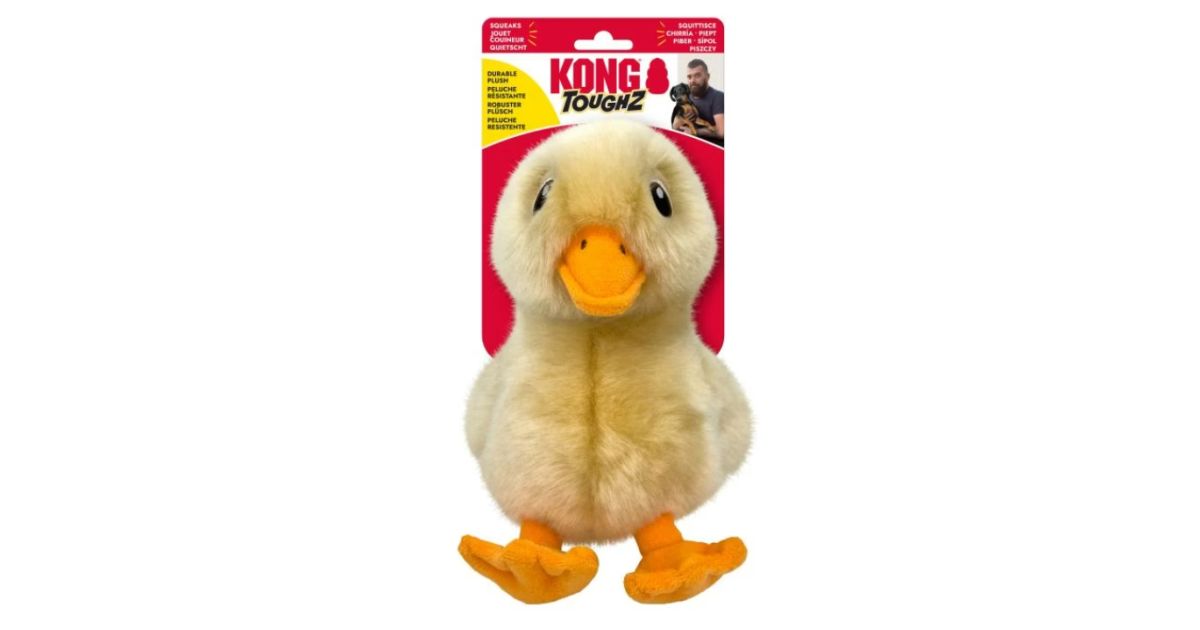 Kong - Toughz Duck