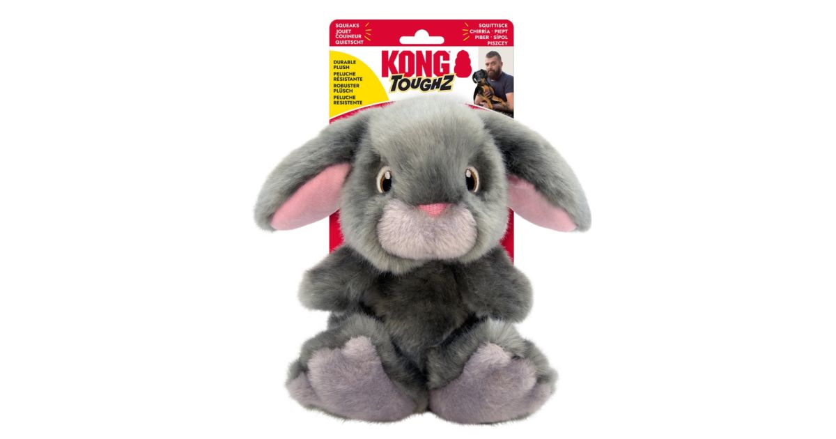 Kong - Toughz Bunny