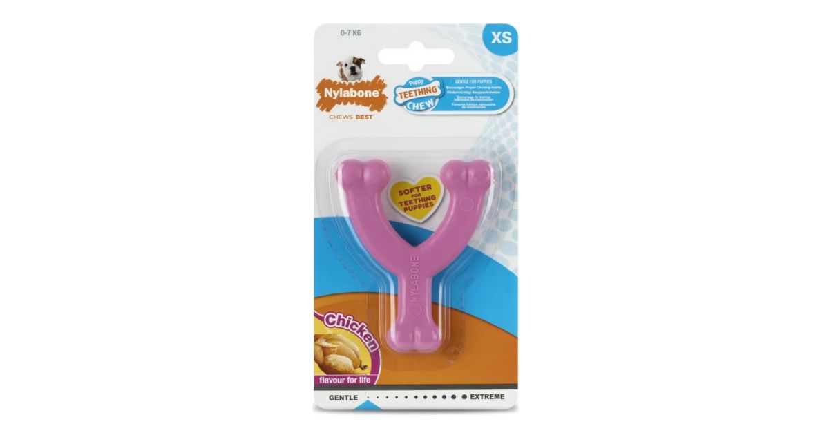 Nylabone - Puppy Wishbone Pink Chicken