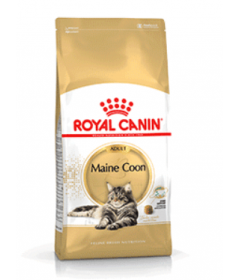Royal Canin - Maine Coon Adult Royal Canin - 1