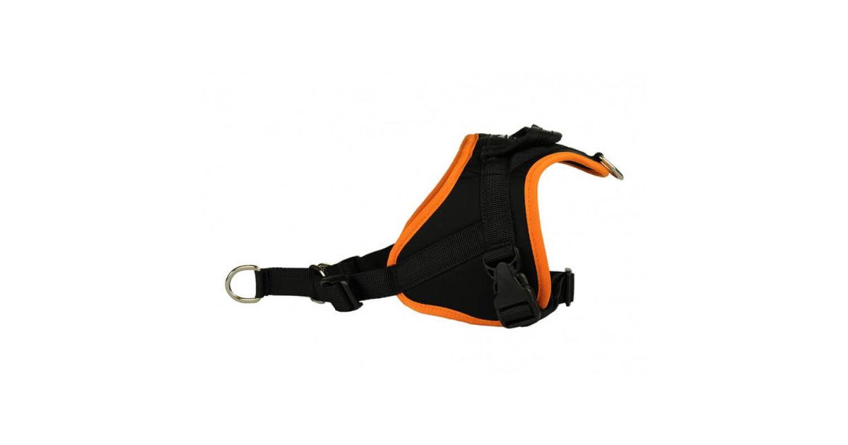 Harnais pour chien - Anti-traction Classic Animalin - 2