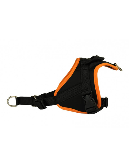 Harnais pour chien - Anti-traction Classic Animalin - 2