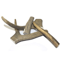 Bois de Cerf Wouandises Wouapy - 1