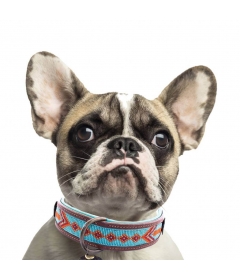 Collier pour chiens - Collier Paddy Lee DWAM - 4