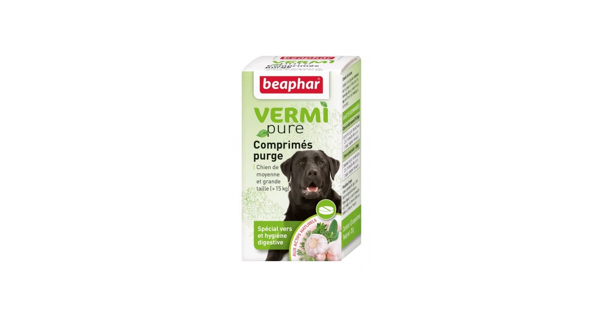 Vermi Pure chien de moyenne et grande taille