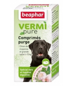 Vermi Pure chien de moyenne et grande taille