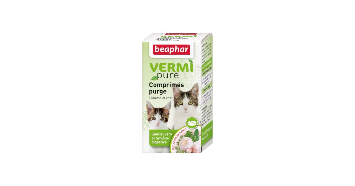 Vermi Pure chiot et petit chien