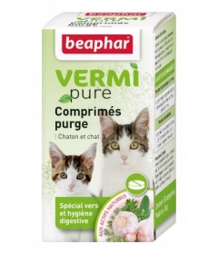 Vermi Pure chiot et petit chien