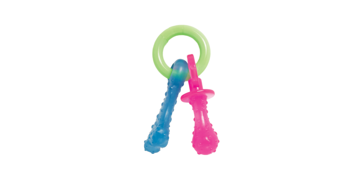 Tetines Nylabone Nylabone - 1
