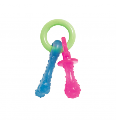 Tetines Nylabone Nylabone - 1