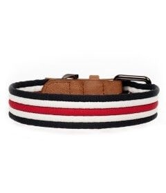 Collier pour chiens - Collier Héritage Tricolore Milk & Pepper - 2