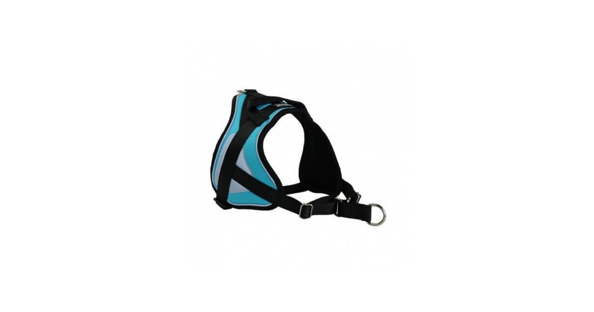 Harnais pour chien - Anti-traction Reflex Animalin - 4