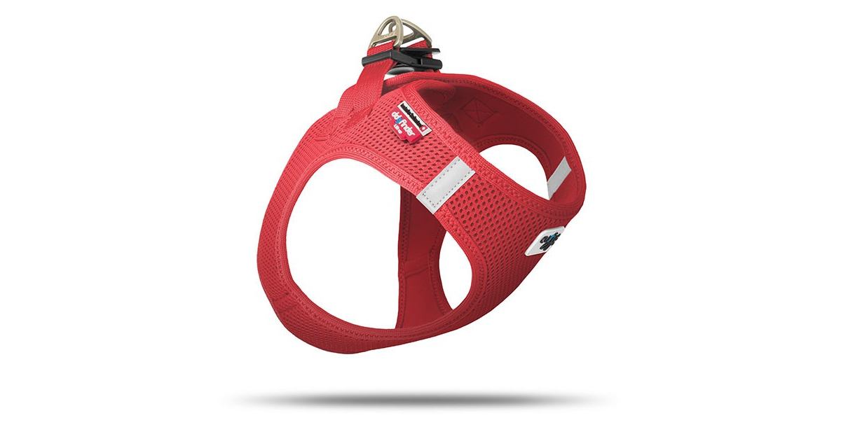 Harnais pour chien - Harnais Veste Air Mesh Curli - 1