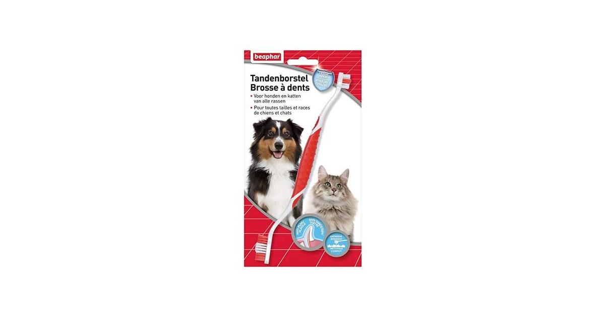 Soin pour chat & chien: Brosse à dent toute tailles