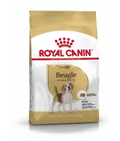 Royal Canin - Beagle Adult Royal Canin - 1