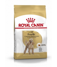 Royal Canin - Caniche Adult Royal Canin - 1