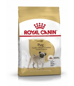 Royal Canin - Pug Adult Royal Canin - 1