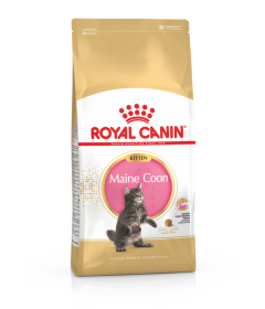 Royal Canin - Maine Coon Kitten Royal Canin - 1