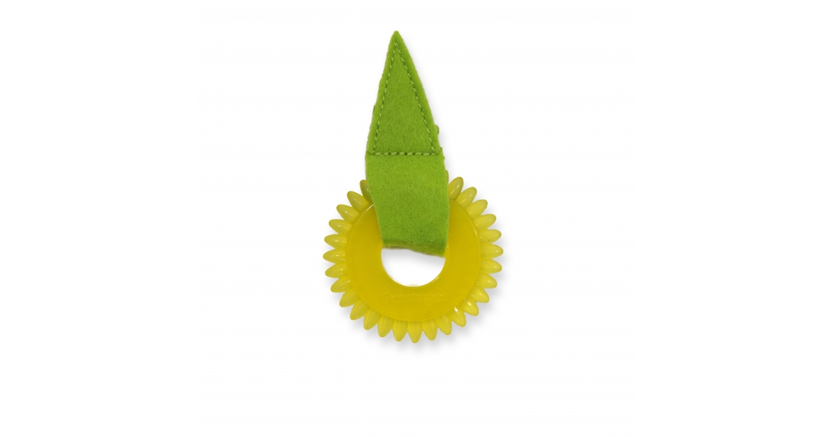 Dental Daisy