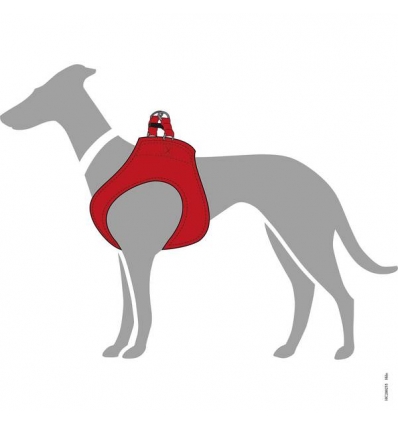 Harnais pour chien - Harnais Hilo Hunter - 2
