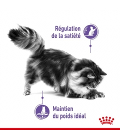 Royal Canin - Appetite Control Care Royal Canin - 2